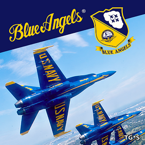 Blue Angels Aerobatic Flight Simulator [ENG] (2017) PC | Лицензия