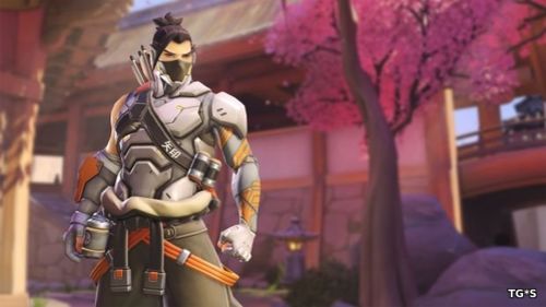 В Overwatch PTR сервер теряет популярность