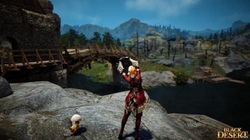 Стрим по Black Desert