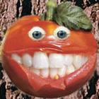 Happy_Tomato