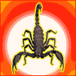 scorpiondrive