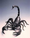 scorpion911