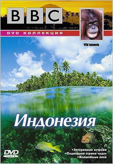 торрент игры