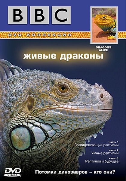 торрент игры