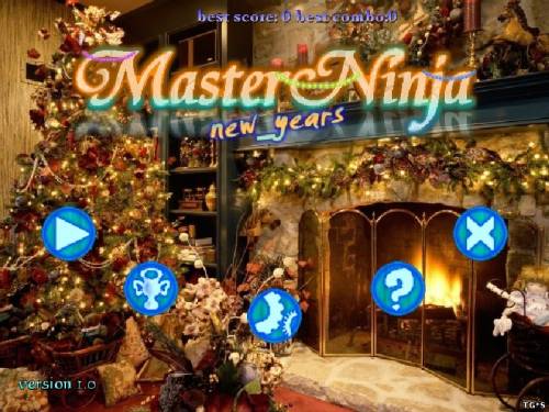 New Years Master Ninja (2011) [ENG] PC