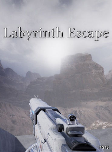 Labyrinth Escape [ENG] (2017) PC | Лицензия