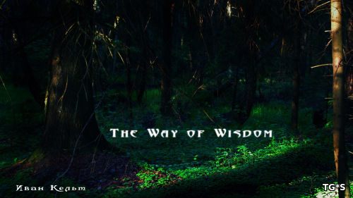 Путь мудрости / The Way of Wisdom (2016) PC | Лицензия