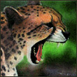 JAGUAR_SAMARA