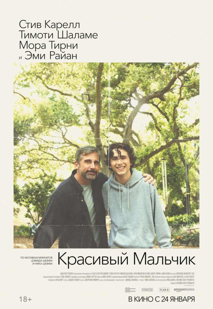 Красивый мальчик / Beautiful Boy (2018) WEB-DL 1080p