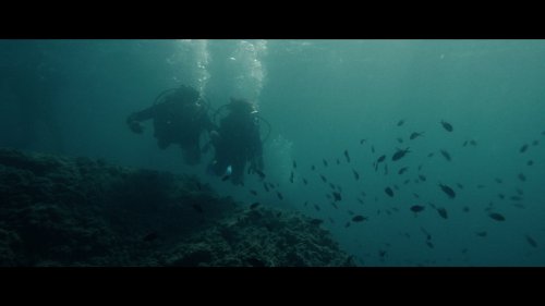 Догмэн / Dogman (2018) BDRip 1080p | HDRezka Studio