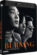 Пылающий / Burning (2018) BDRip-AVC от OlLanDGroup | iTunes