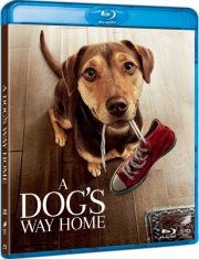 Путь домой / A Dog's Way Home (2019) BDRip-AVC от OlLanDGroup | Лицензия