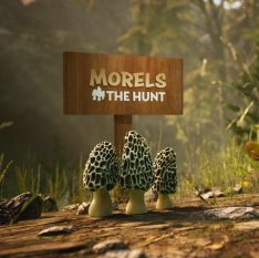 Morels: The Hunt (2019)