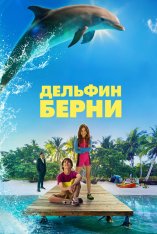 Дельфин Берни / Bernie The Dolphin (2018) BDRip | iTunes