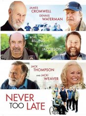 Никогда не поздно / Never Too Late (2020) WEB-DL 720p