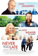 Никогда не поздно / Never Too Late (2020) WEB-DLRip