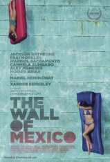 Мексиканская стена / The Wall of Mexico (2019) WEB-DLRip