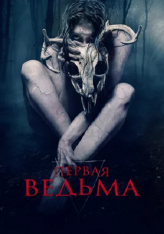 Первая ведьма / The Wretched (2019) BDRip 1080p | iTunes