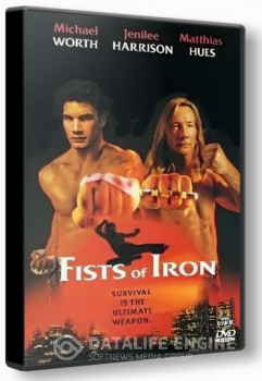 Железные кулаки / Кастет / Fists of Iron (1995) DVDRip от SergV