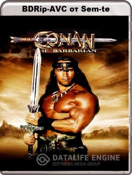 Конан-варвар / Conan the Barbarian (1982) BDRip-AVC от Sem-te | P2, А