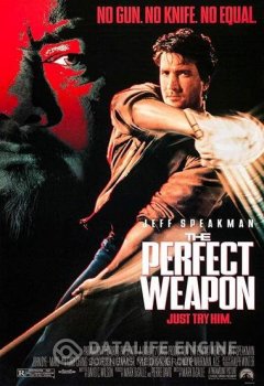 Совершенное оружие / The Perfect Weapon (1991) BDRip 1080p | P, A