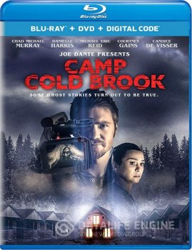 Лагерь «Холодный Ручей» / Camp Cold Brook (2018) HDRip-AVC | P2