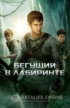 Бегущий в лабиринте: Трилогия / The Maze Runner: Trilogy (2014-2018) UHD BDRip-HEVC 1080p | HDR | D