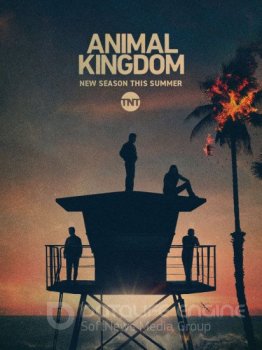 По волчьим законам / Animal Kingdom [05x01-02 из 13] (2021) WEBRip | TVShows