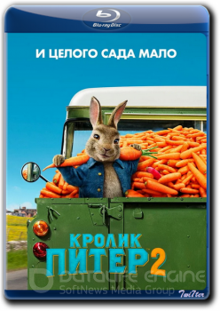 Кролик Питер 2 / Peter Rabbit 2: The Runaway (2021) WEB-DLRip от Twister & ExKinoRay | Локализованный видеоряд