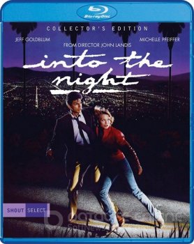 В ночи / Into the Night (1985) BDRemux 1080р | P, P2