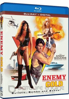 Враждебное золото / Enemy Gold (1993) BDRemux 1080р | A