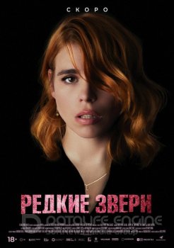 Редкие звери / Rare Beasts (2019) WEB-DL 1080p | P | iTunes