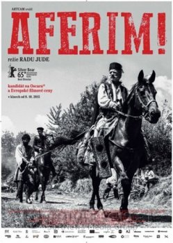 Браво! / Aferim! (2015) BDRip 1080p | L1