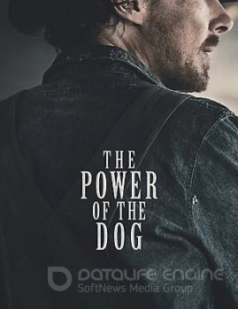 Власть пса / The Power of the Dog (2021) WEB-DL-HEVC 1080p от ExKinoRay | SDR | Netflix