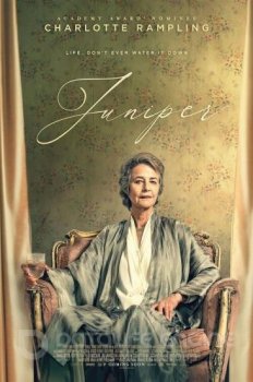 Можжевельник / Juniper (2021) WEB-DL 1080p от New-Team | Pazl Voice