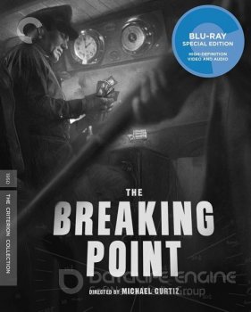 Переломный момент / The Breaking Point (1950) BDRemux 1080р | L1