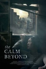 Затишье / The Calm Beyond (2020) WEB-DLRip | НТК