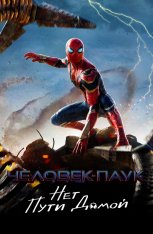 Человек-паук: Нет пути домой / Spider-Man: No Way Home (2021) BDRip 720p | Лицензия