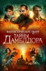 Фантастические твари: Тайны Дамблдора / Fantastic Beasts: The Secrets of Dumbledore (2022) WEB-DL 1080p | HDRezka Studio, NewComers