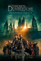 Фантастические твари: Тайны Дамблдора / Fantastic Beasts: The Secrets of Dumbledore (2022) UHD WEB-DL-HEVC 2160p | 4K | HDR | HDRezka Studio, NewComers