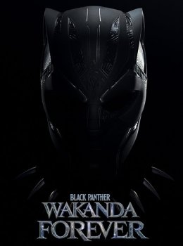 Чёрная Пантера: Ваканда навеки / Black Panther: Wakanda Forever (2022) UHD BDRemux 2160p | 4K | HDR | HDR10+ | Dolby Vision Profile 8 | D, P