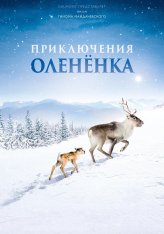 Приключения олененка / A Reindeer's Journey / Aïlo: Une odyssée en Laponie (2018) BDRip 1080p | Иван Затевахин