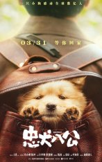 Хатико / Hachiko / Zhong quan ba gong (2023) WEB-DLRip