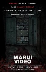 Секретное видео / Marui Video / Marui bidio (2023) WEBRip 1080p | Head Pack Films