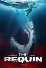 Тропический шторм / Реквин / The Requin (2022) HDRip | Дубляж