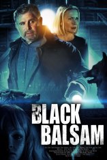 Дом на Черной горе / Black Balsam (2022) WEB-DLRip | OKKO