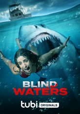 Мутные воды / Blind Waters (2023) WEB-DLRip