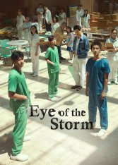 Эпицентр бури / Eye of the Storm / Yi qi (2023) WEB-DLRip-AVC | Pazl Voice