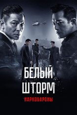 Белый шторм 2: Наркобароны / The White Storm 2: Drug Lords / Sao du 2: Tian di dui jue (2019) BDRemux 1080p | OKKO