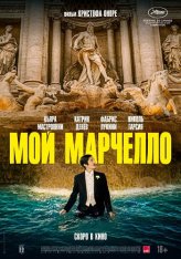 Мой Марчелло / Marcello mio (2024) WEB-DLRip